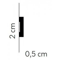 MOLDINGAI 244x2.0x0.5cm.